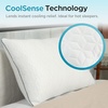 image:imageBrookstone CoolSense Down Alternative Pillow 2 Pack StandardQueen WhiteCoolSense