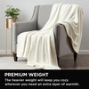 image:imageBrookstone Nap Plush Throw Blanket for Couch SilverIvory