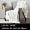 image:imageBrookstone Nap Plush Throw Blanket for Couch SilverWhite