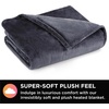 image:imageBrookstone Electric Heated Plush Blanket King 100 x 90 in GrayGrey
