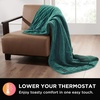 image:imageBrookstone Electric Heated Plush Throw Blanket Ivory WindowpaneGreen