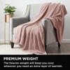 image:imageBrookstone Nap Plush Throw Blanket for Couch BlueBlush